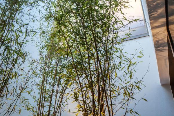 Wannerpartner Architekten 029_WANNERPARTNER_ARCHITEKTEN_15